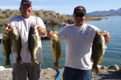 havasu-bass-fishing