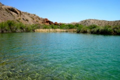 lake-havasu-fishing-4