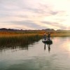 Lake Havasu Bass Fishing