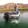 Lake Havasu Fishing Report for December 31, 2015 Lake Havasu Fishing Report